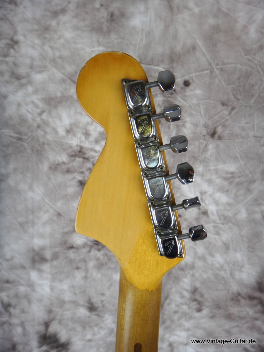 Fender_Stratocaster-ashbody-1979-_natural-006.JPG