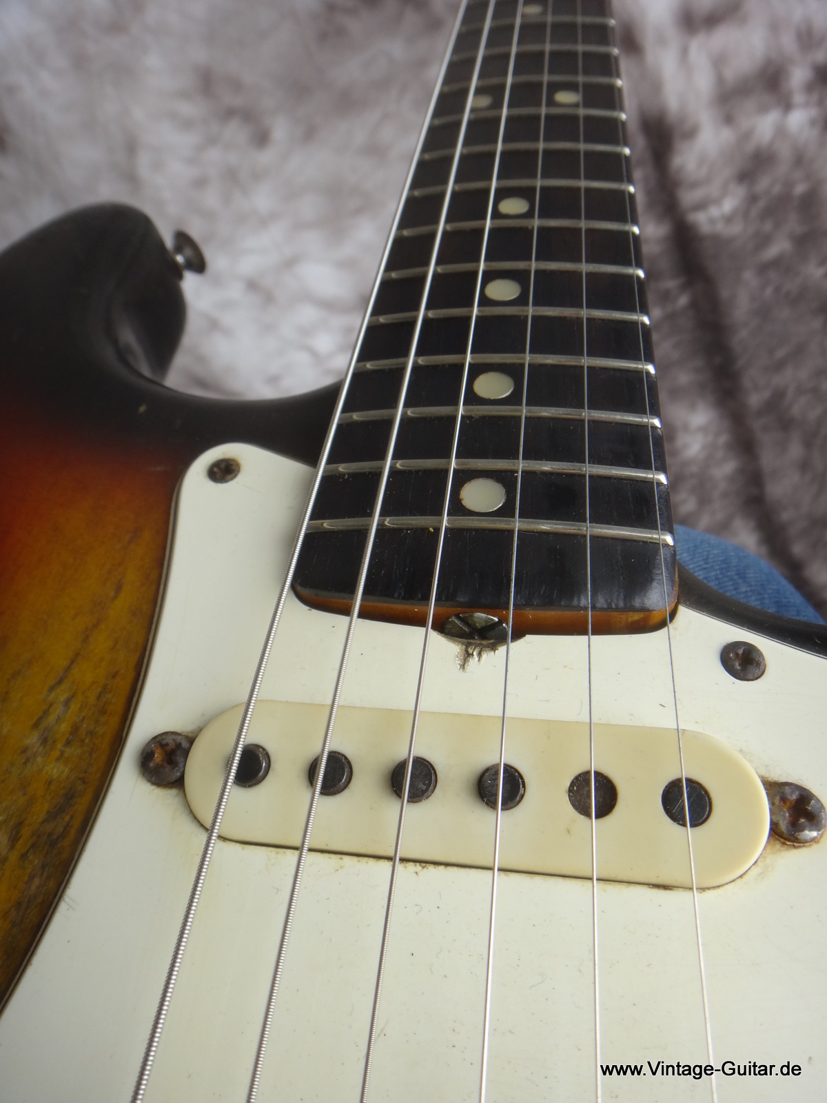 Fender_Stratocaster_1965-sunburst_all-original-013.JPG