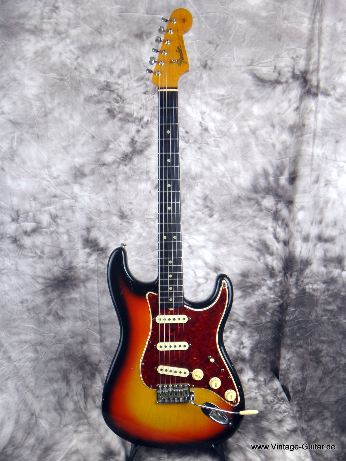 Fender-Stratocaster_1965-tortoise-guard-001.JPG