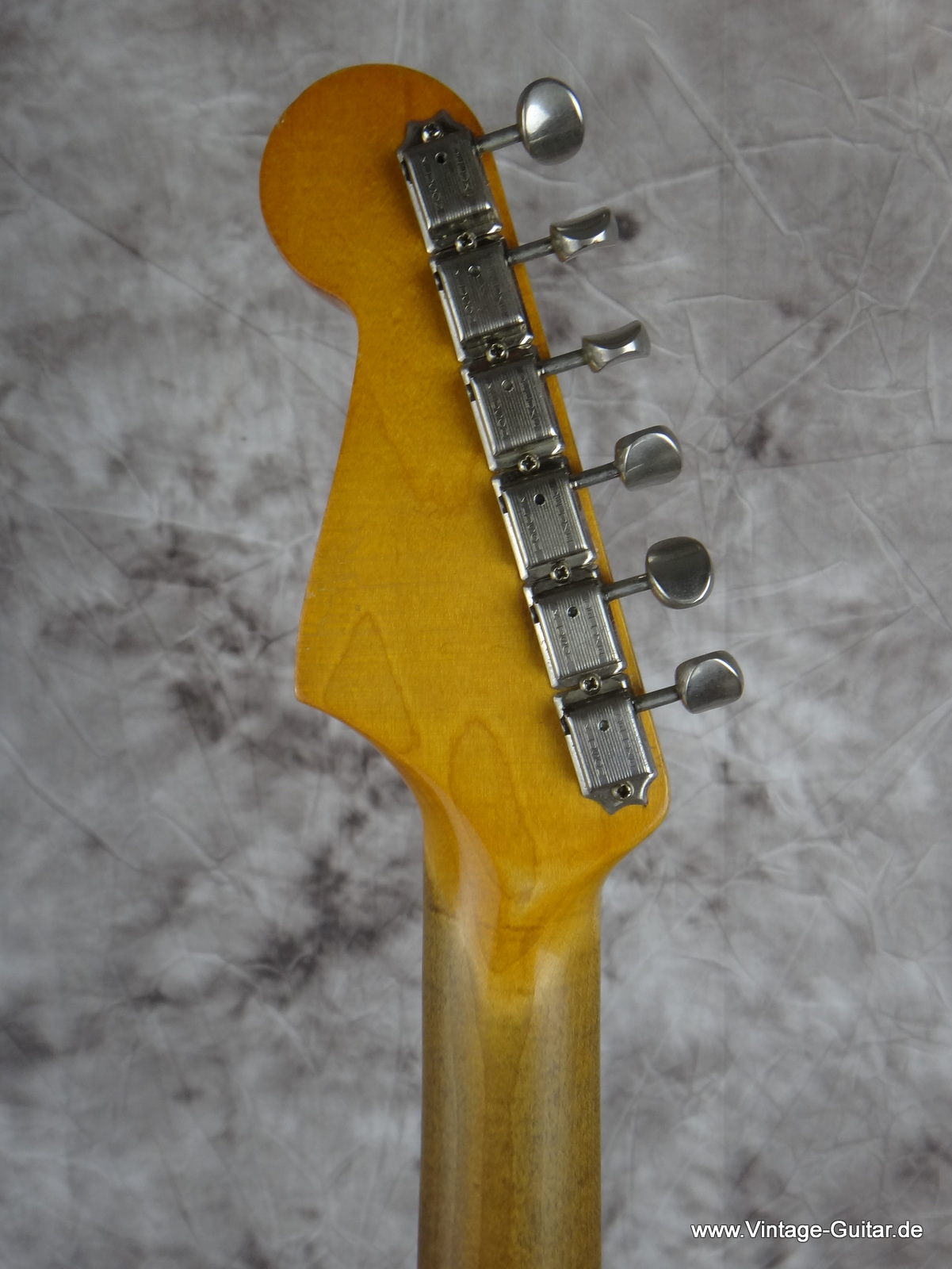 Fender-Stratocaster_1965-tortoise-guard-006.JPG