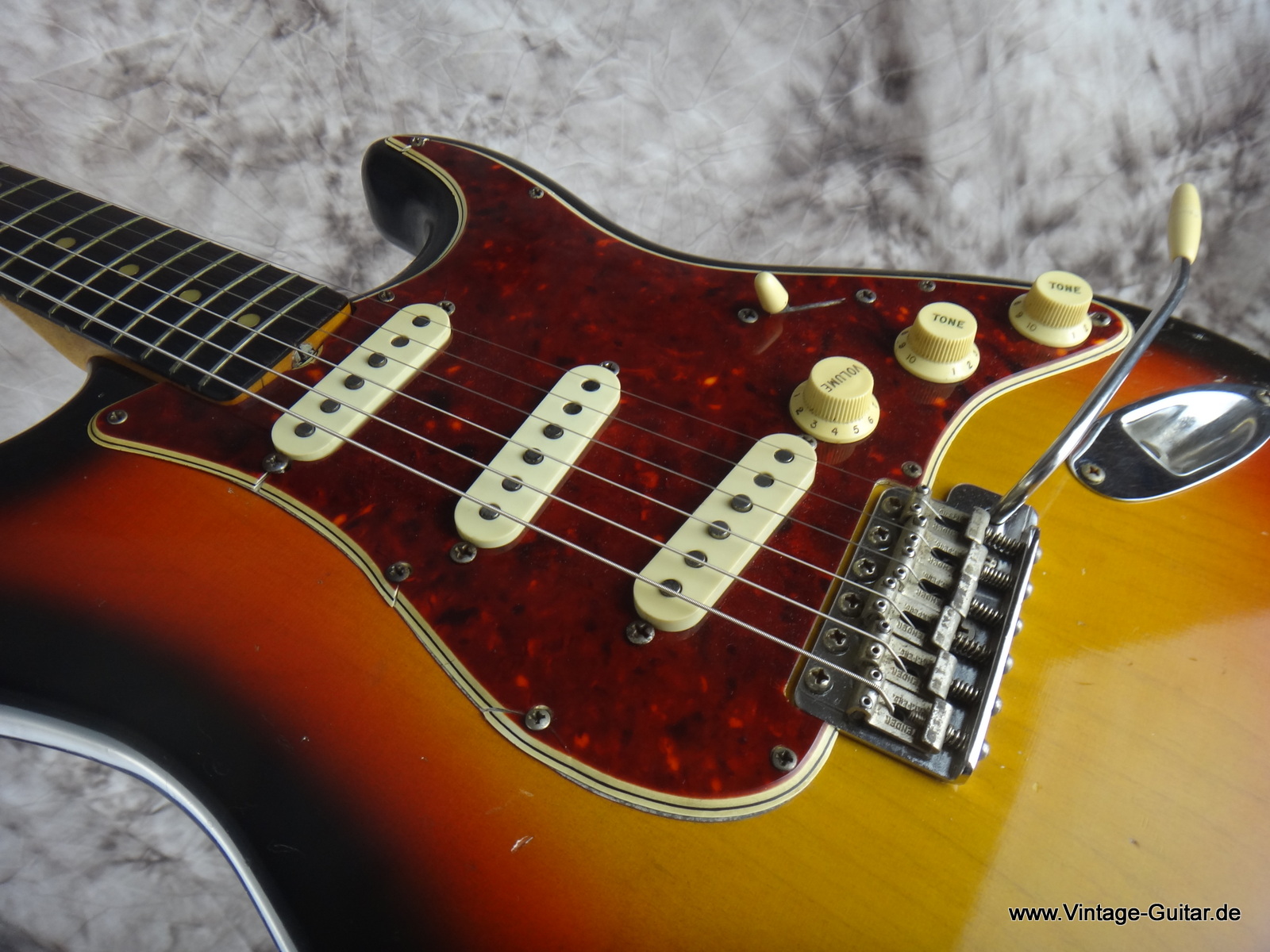 Fender-Stratocaster_1965-tortoise-guard-010.JPG
