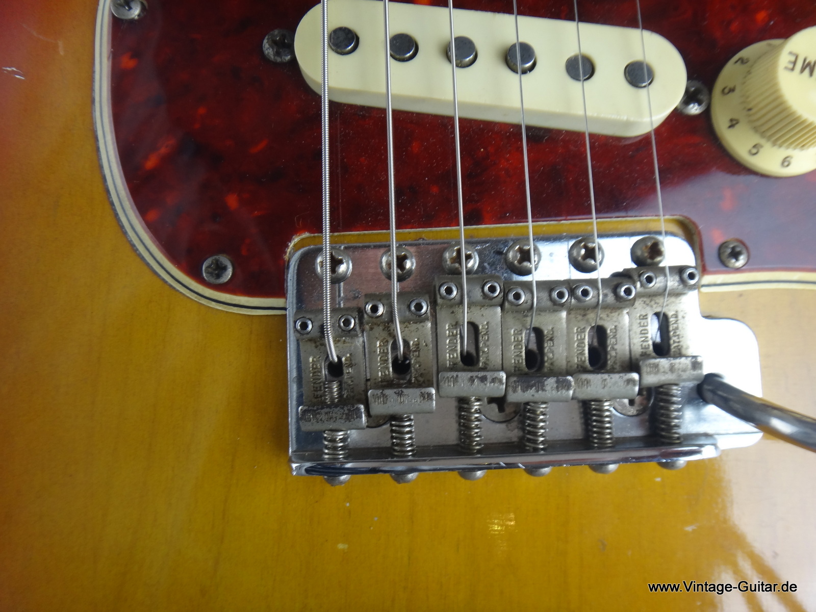 Fender-Stratocaster_1965-tortoise-guard-011.JPG
