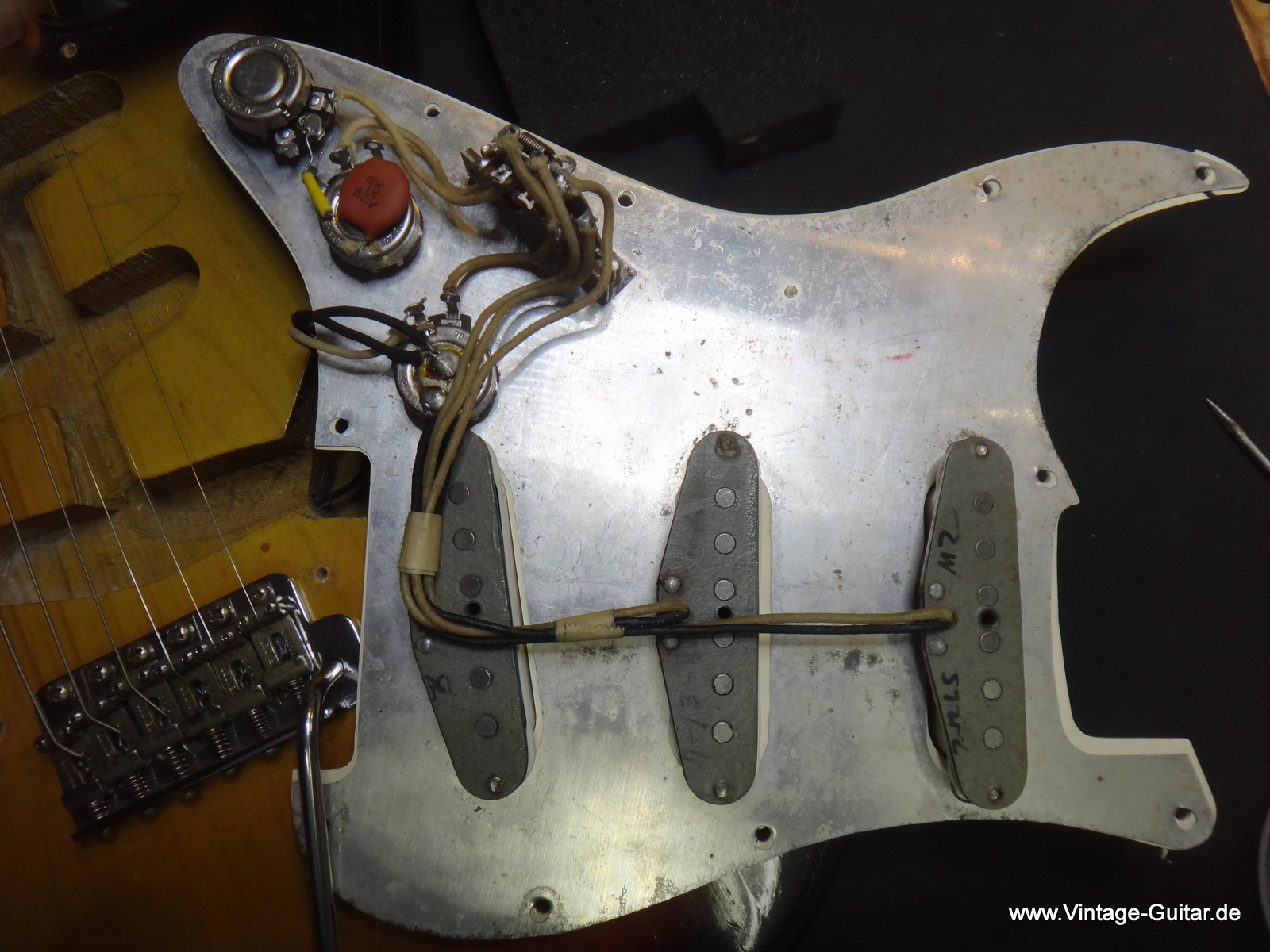 Fender-Stratocaster_1965-tortoise-guard-013.JPG