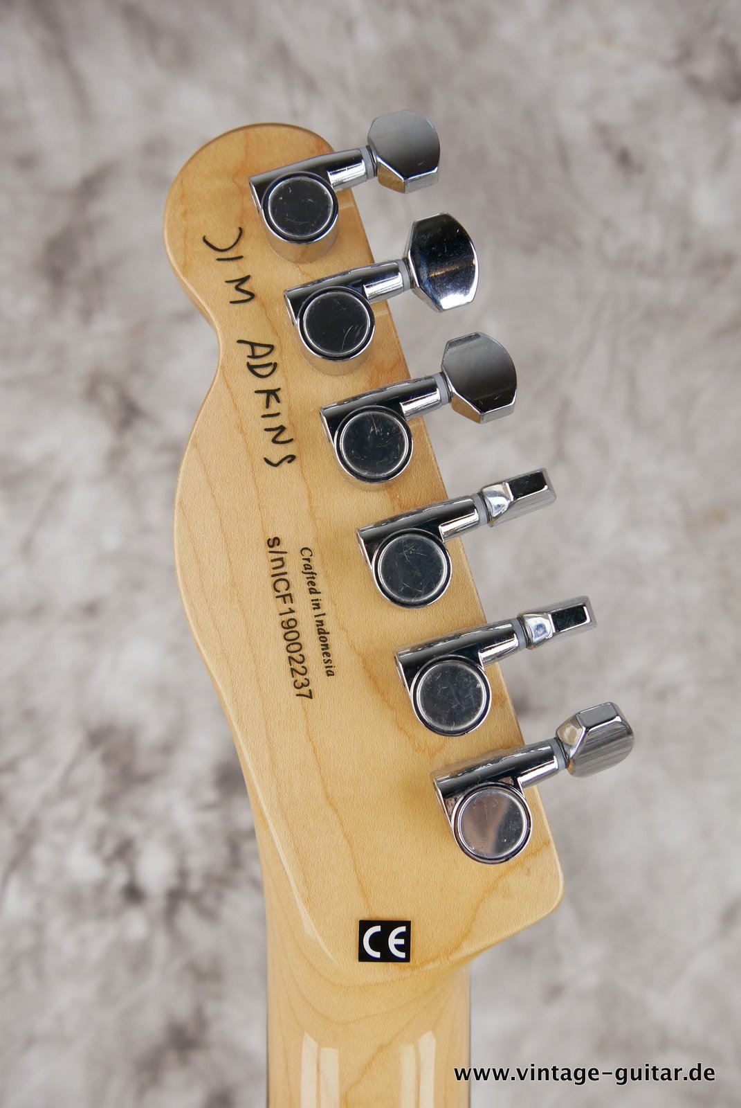 Fender-Telecaster-Thinline-Jim-Adkins-JA-90-010.JPG