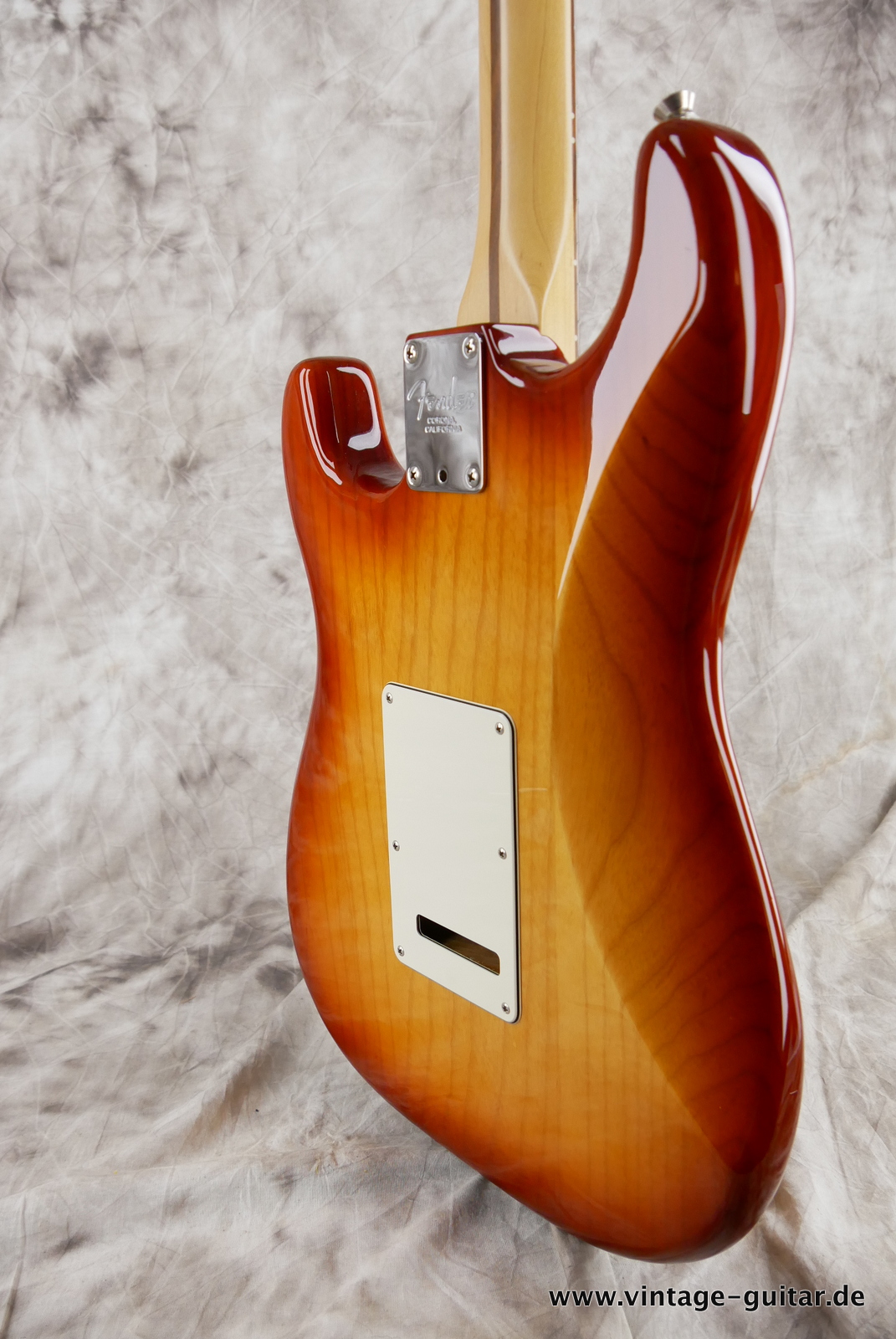 Fender-Stratocaster-American-Pro-I-2017-sienna-sunburst-012.JPG