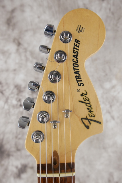Fender_Stratocaster_Highway_One_USA_mashed_brown_2006-009.JPG