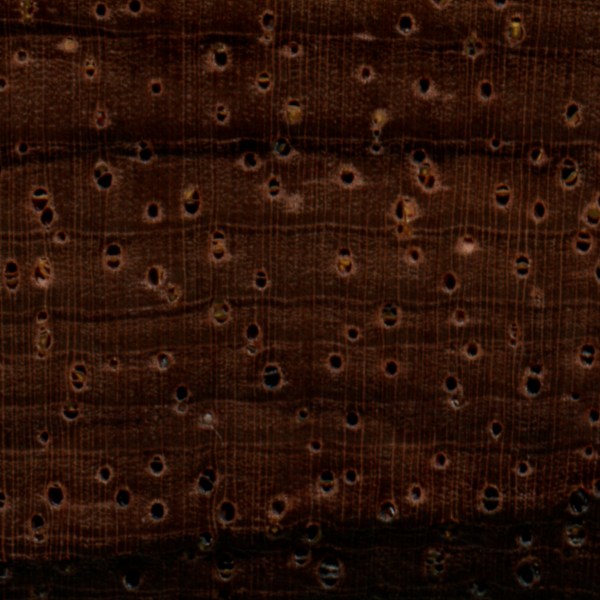 Details | Brazilian Rosewood Pores