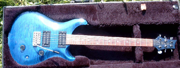 Paul-Reed-Smith-Custom-blue.jpg