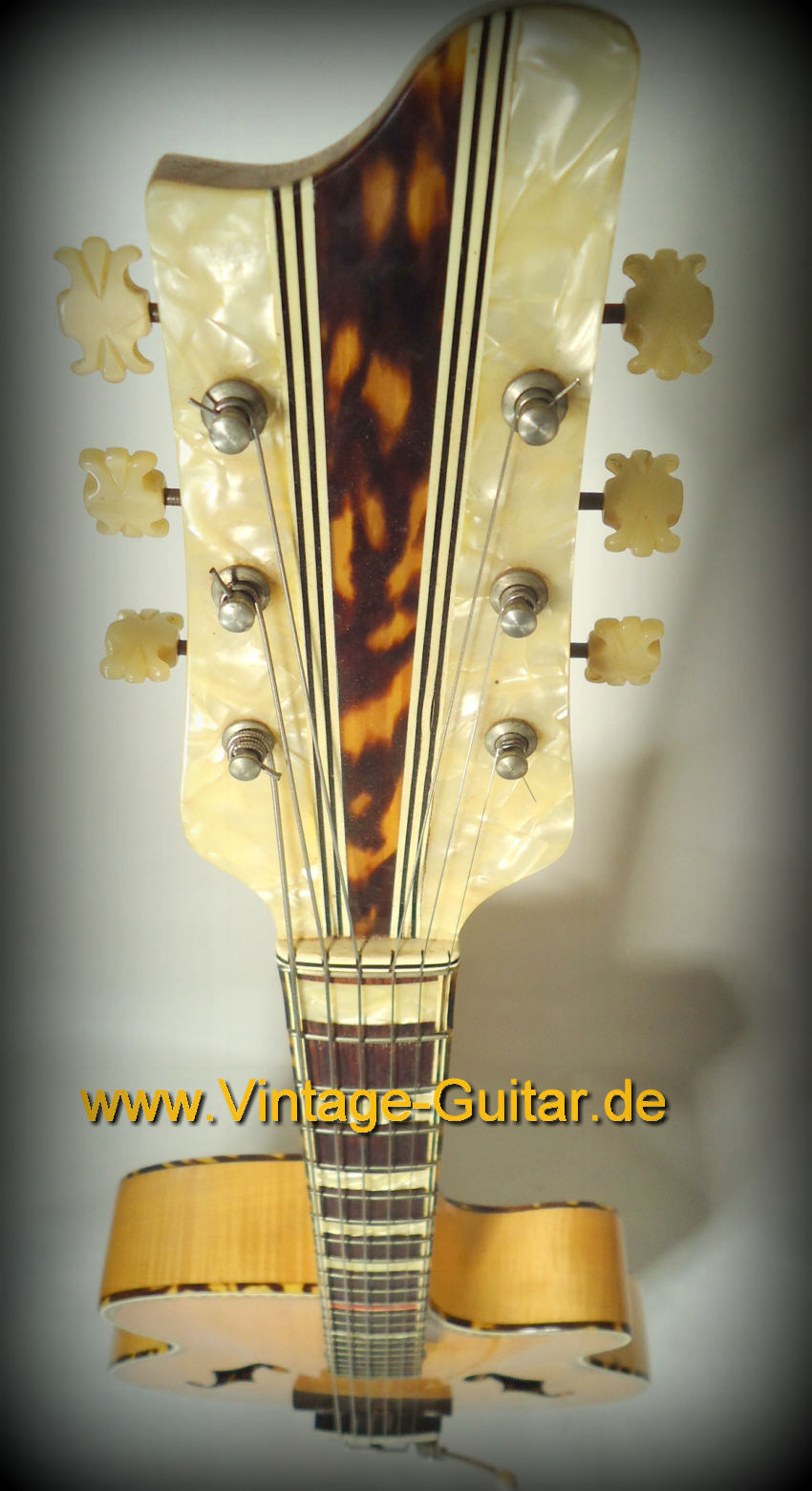 Penzel-Archtop-Germany-g.jpg