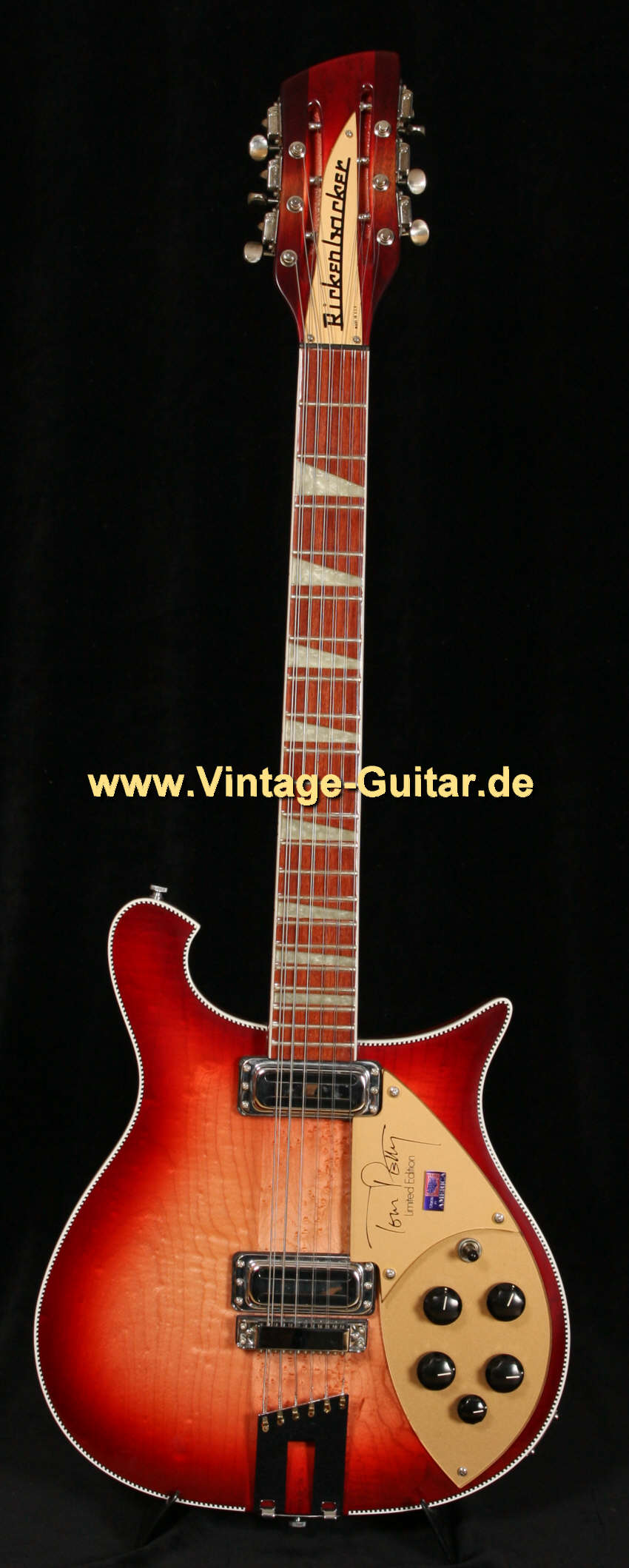 Rickenbacker_Tom_Petty-1.jpg