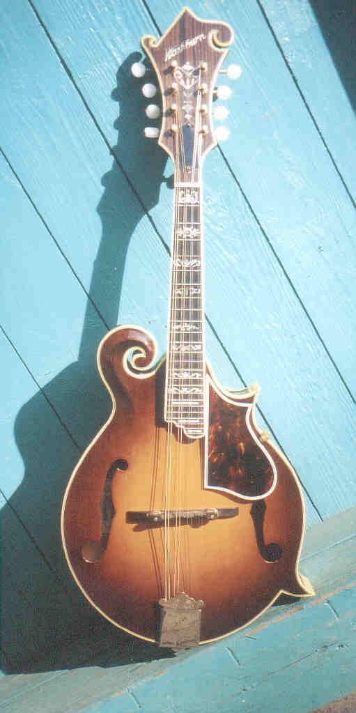 vintage washburn e gitarre