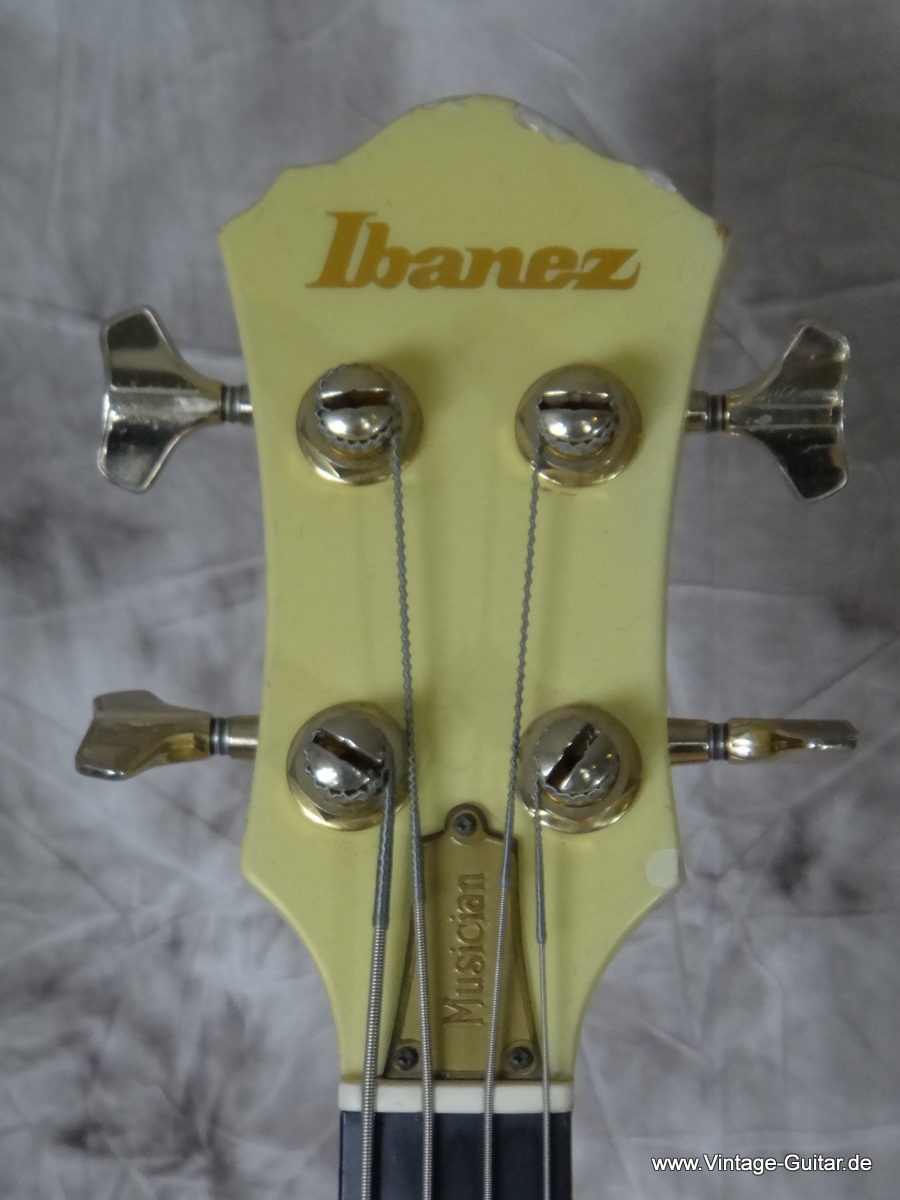 Ibanez-Musician-1983-white-005.JPG