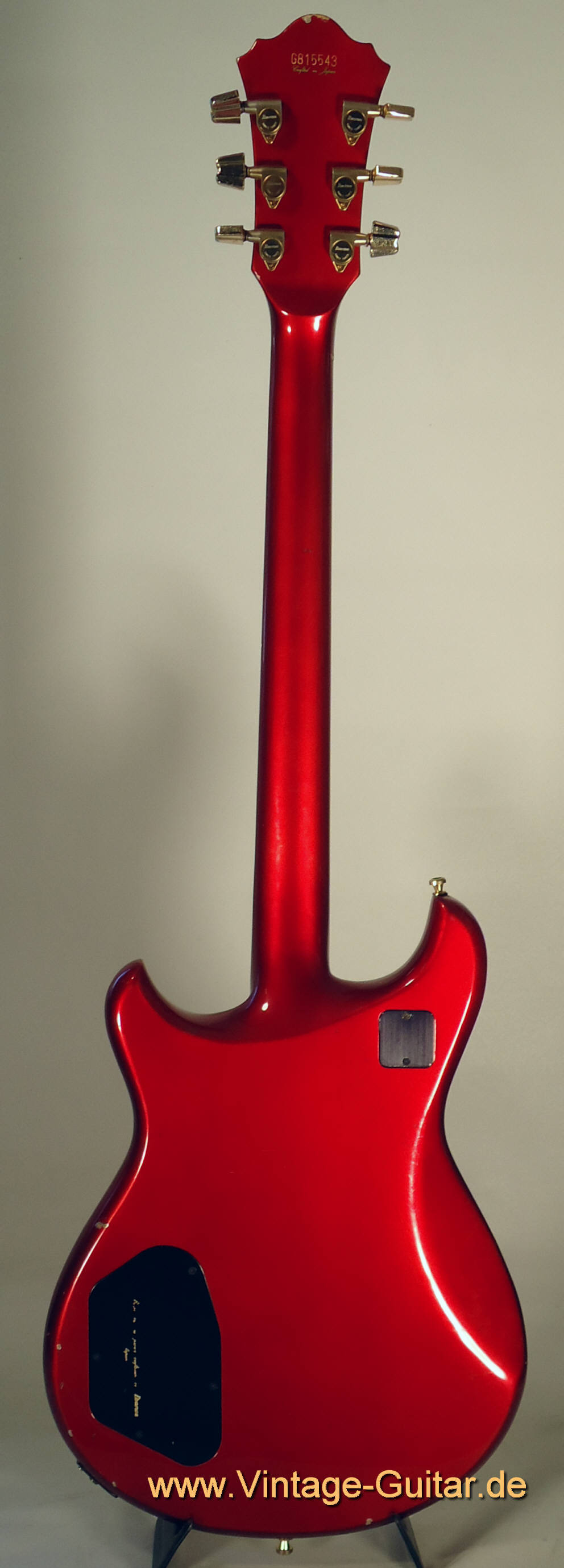 Ibanez-Musician-MC-350-FR-2.jpg