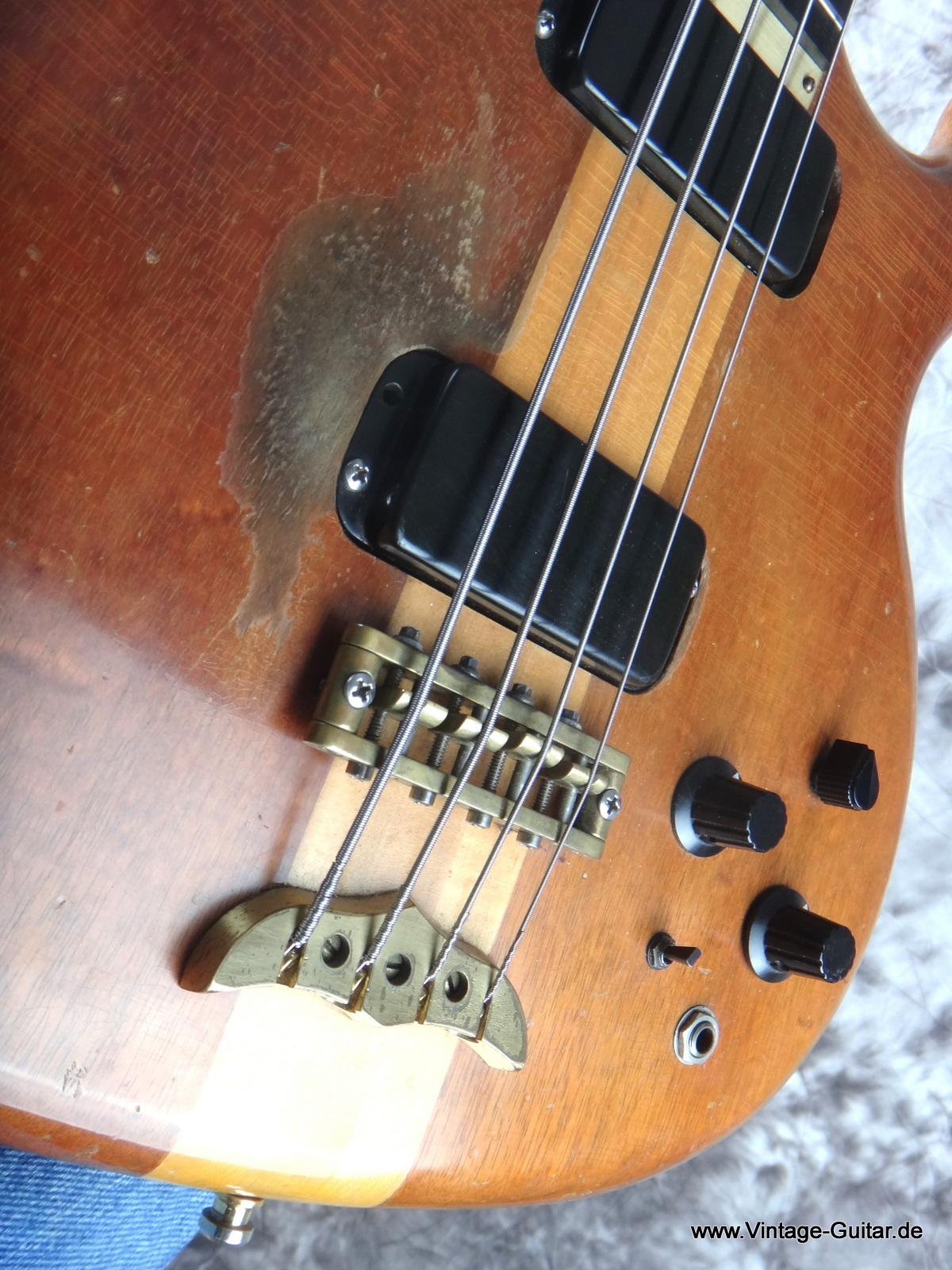 Alembic-Spoiler-Bassguitar-1983-009.JPG