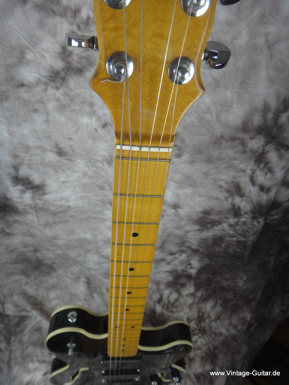 Hayman-2020-thinline-1973-black-012.JPG