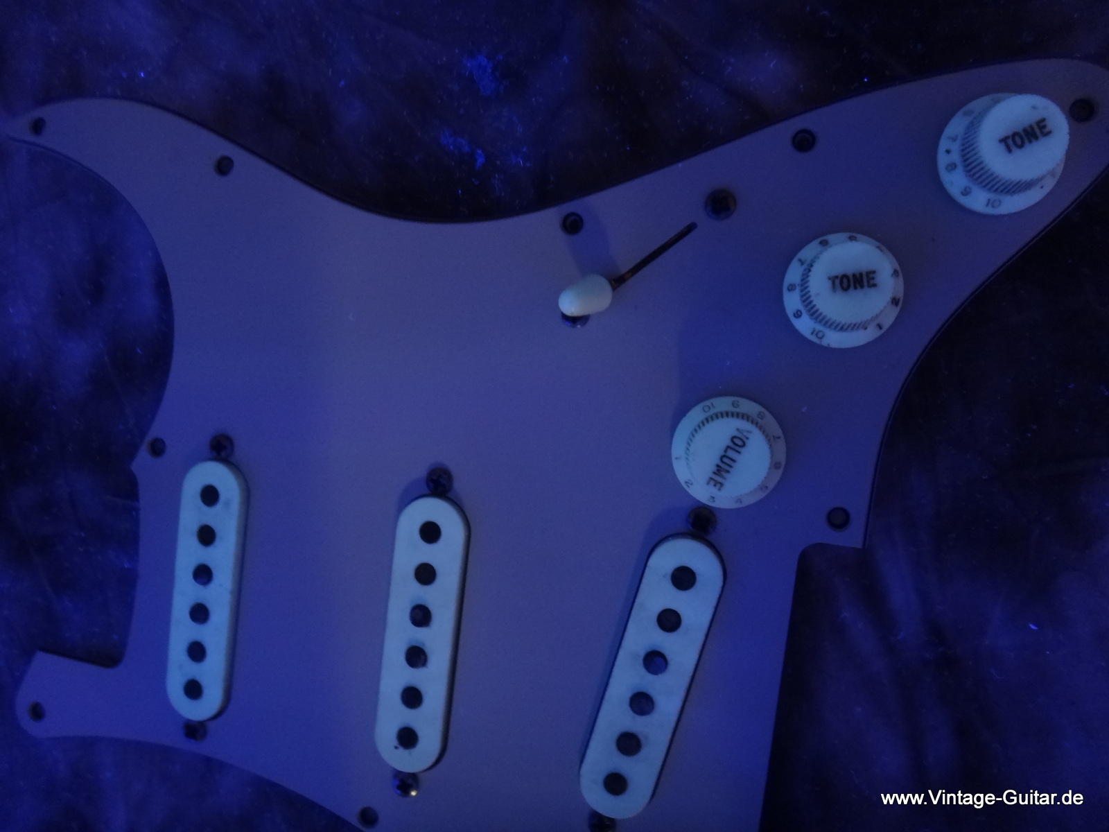 G-Fender-Stratocaster-1966-sonic-blue-025.JPG