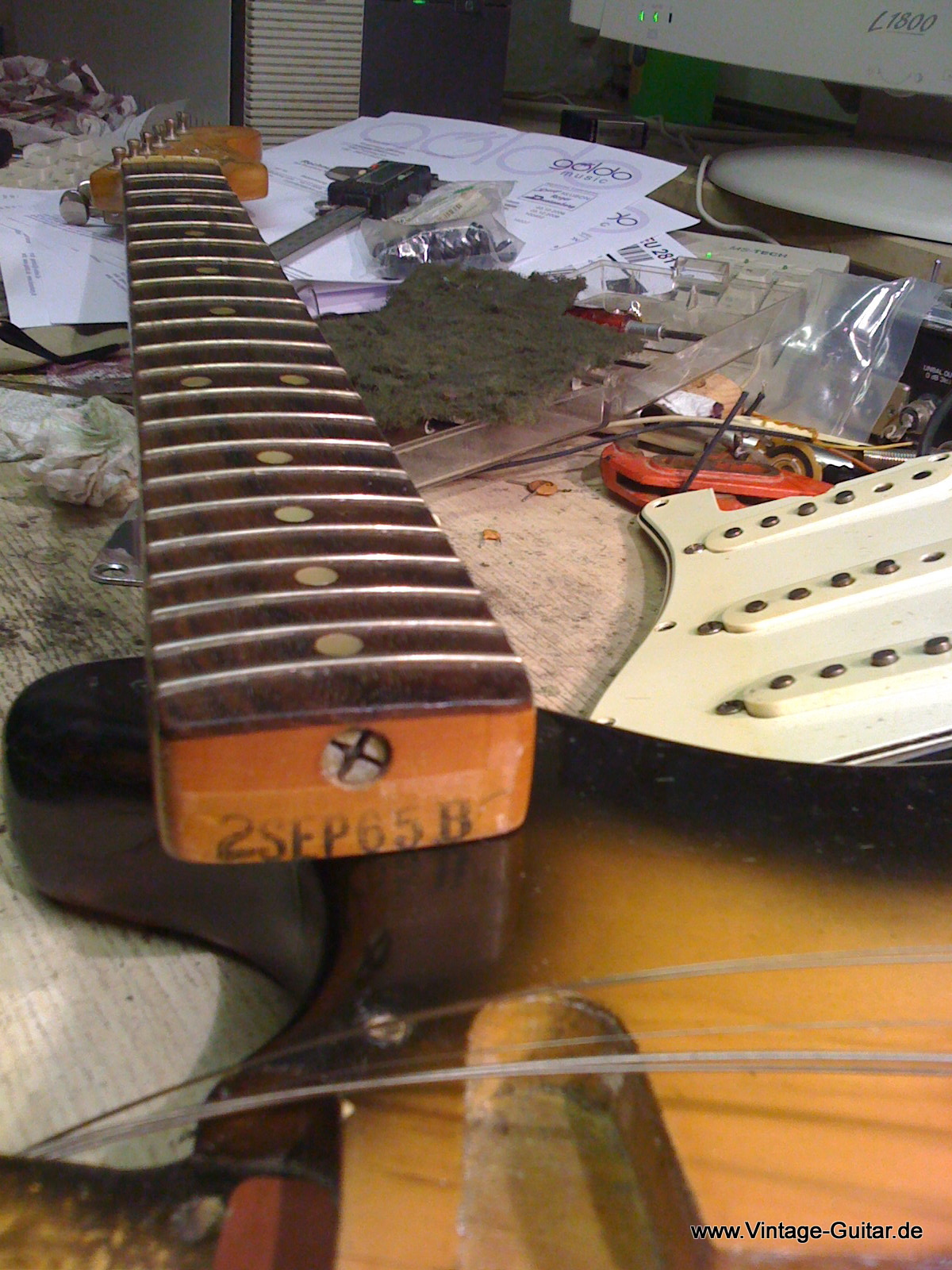 Fender_Stratocaster-1965_sunburst-refinished-012.JPG