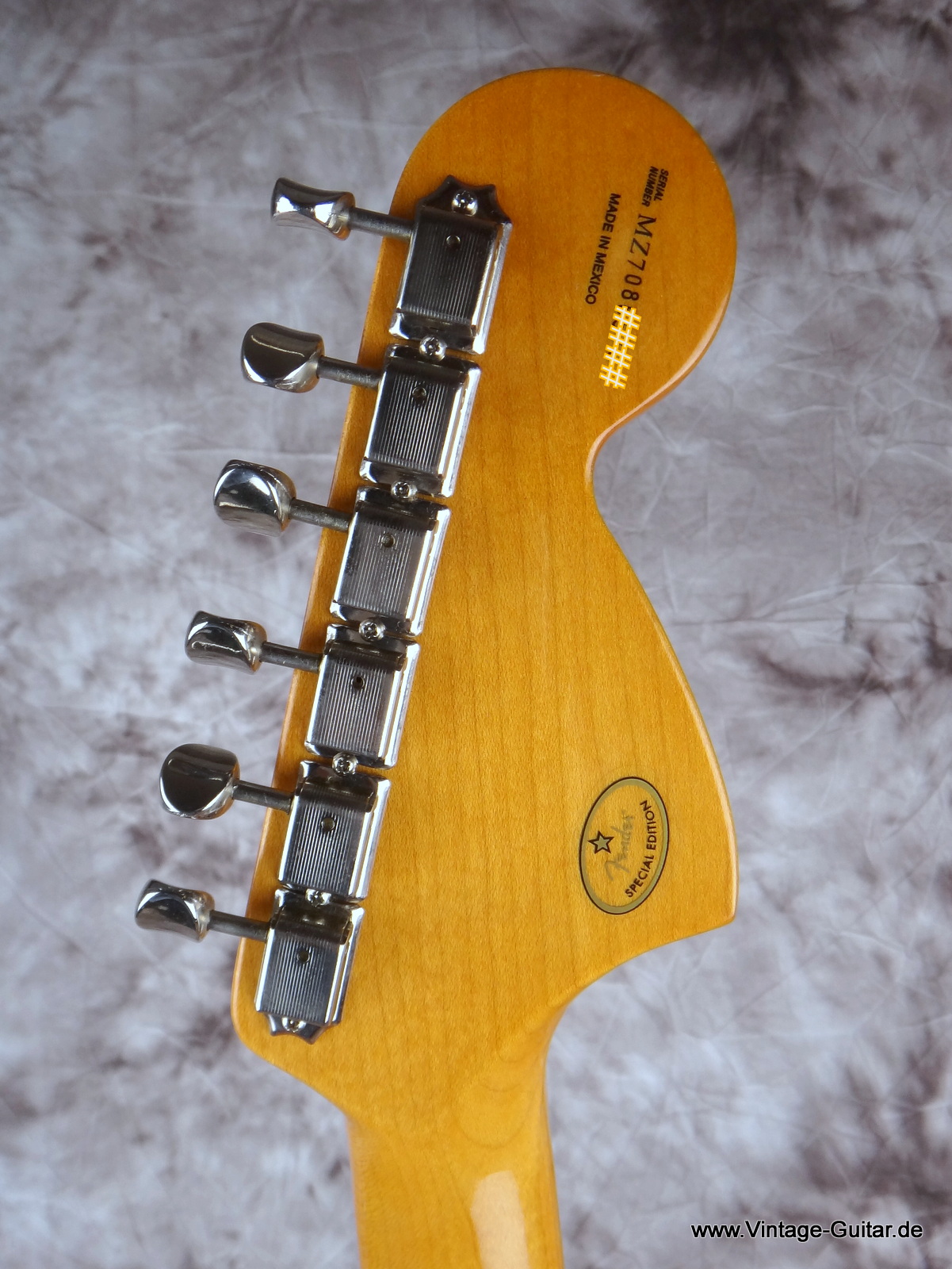 Fender-Voodoo-Hendrix-Stratocaster-Mexico-2007-006.JPG