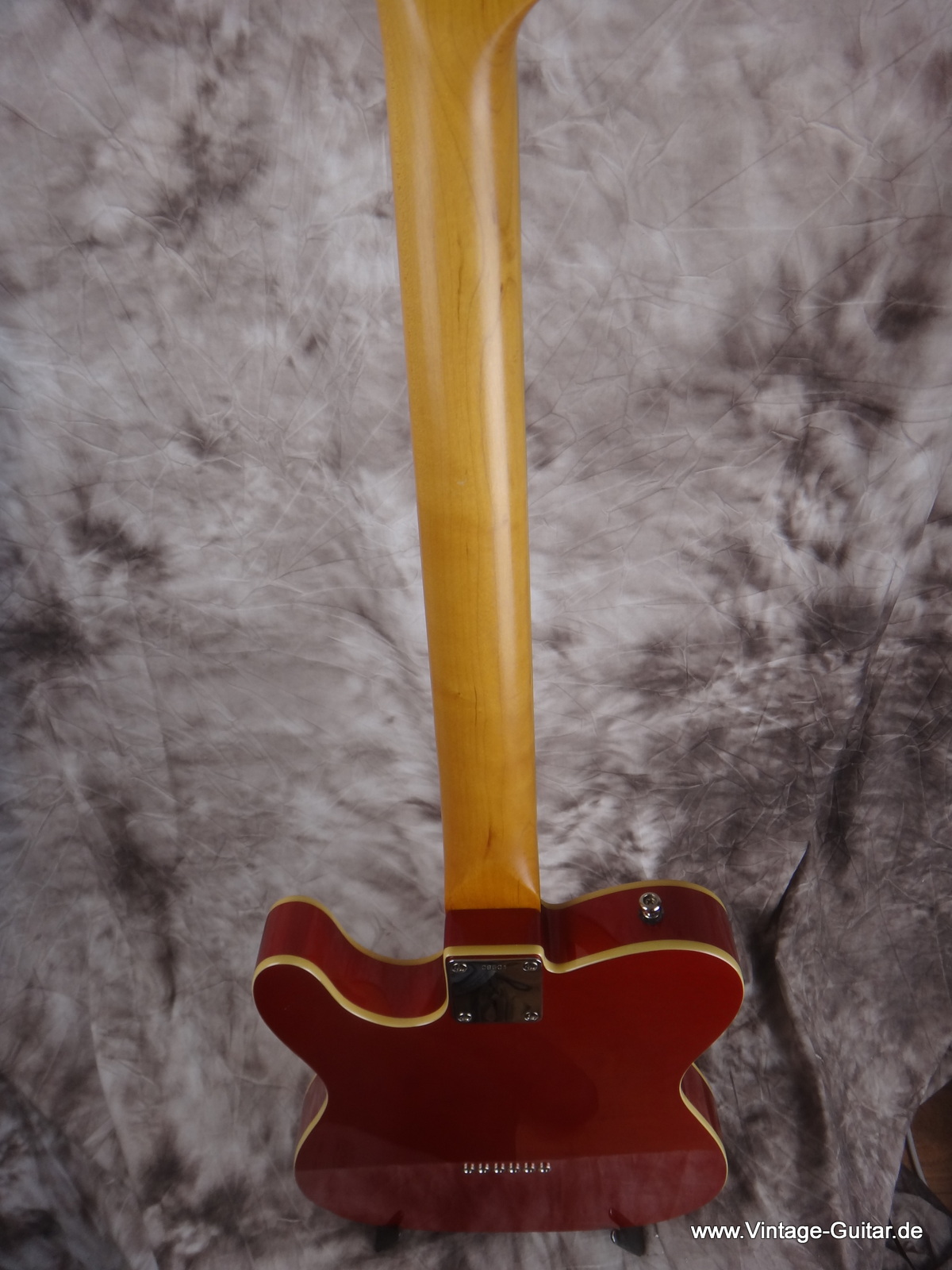 Diego-Tele-Copy-of-Telecaster-Custom-CAR-007.JPG