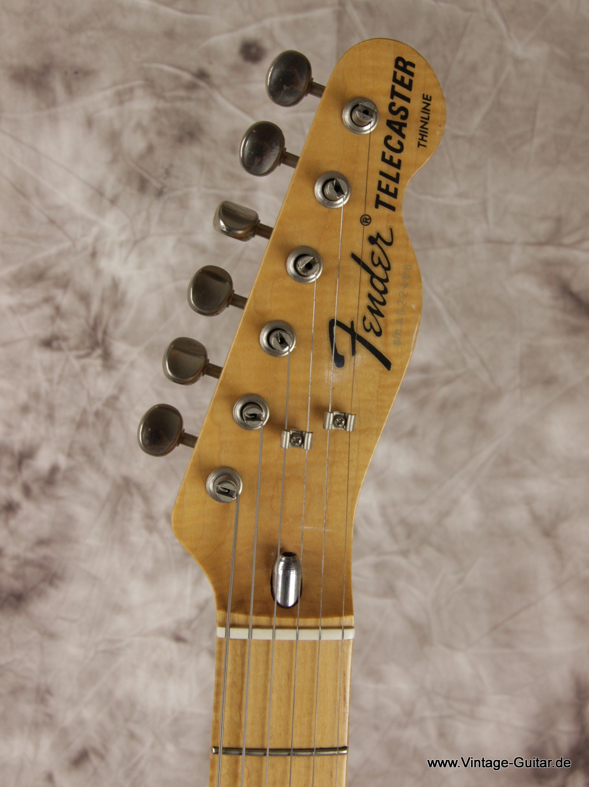 Fender-Telecaster-Thinline-MIJ-1972-Reissue-Japan-005.JPG