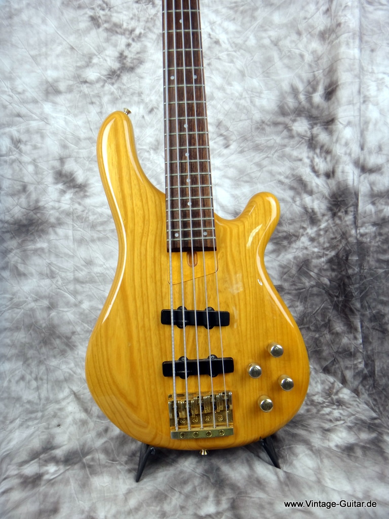 Fernandes-Bass-5-string-002.JPG