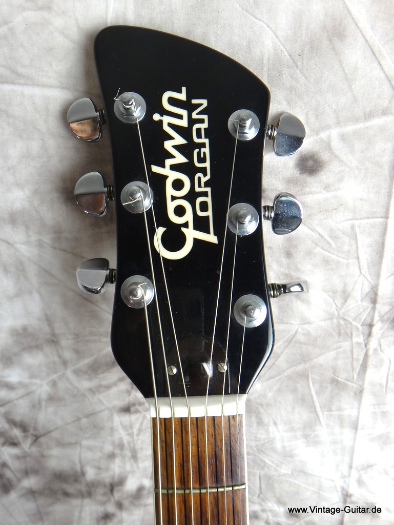 Godwin-Organ-Guitar-1977-005.JPG
