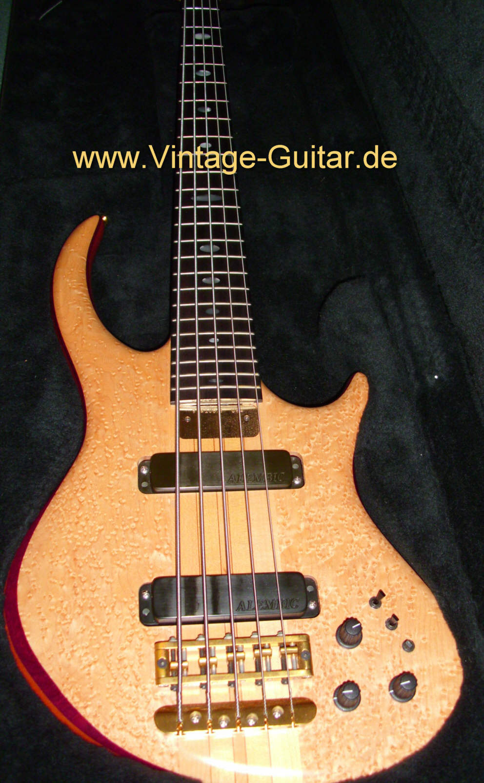 Alembic-Rouge-5-String-Bass-a.jpg