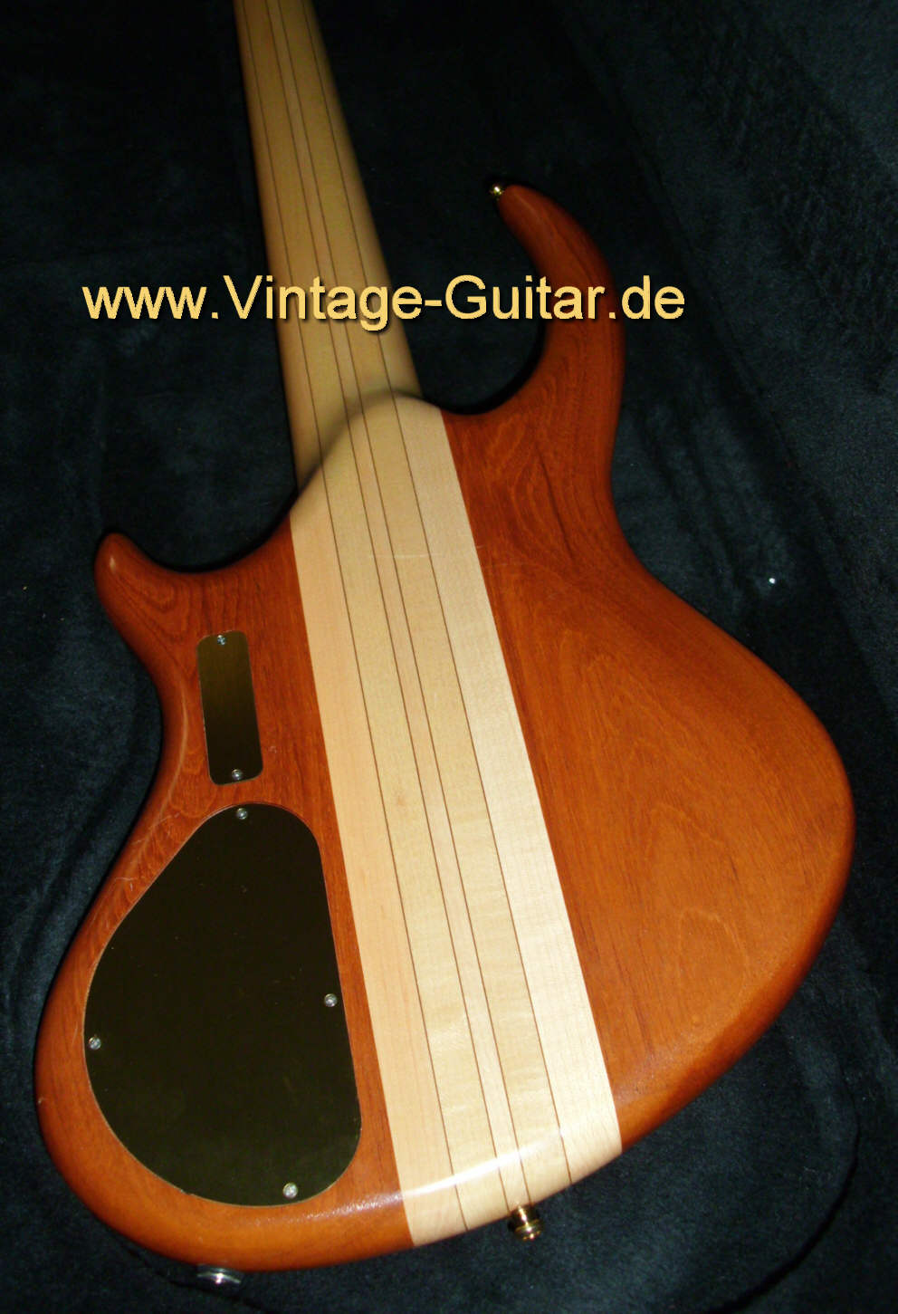 Alembic-Rouge-5-String-Bass-b.jpg
