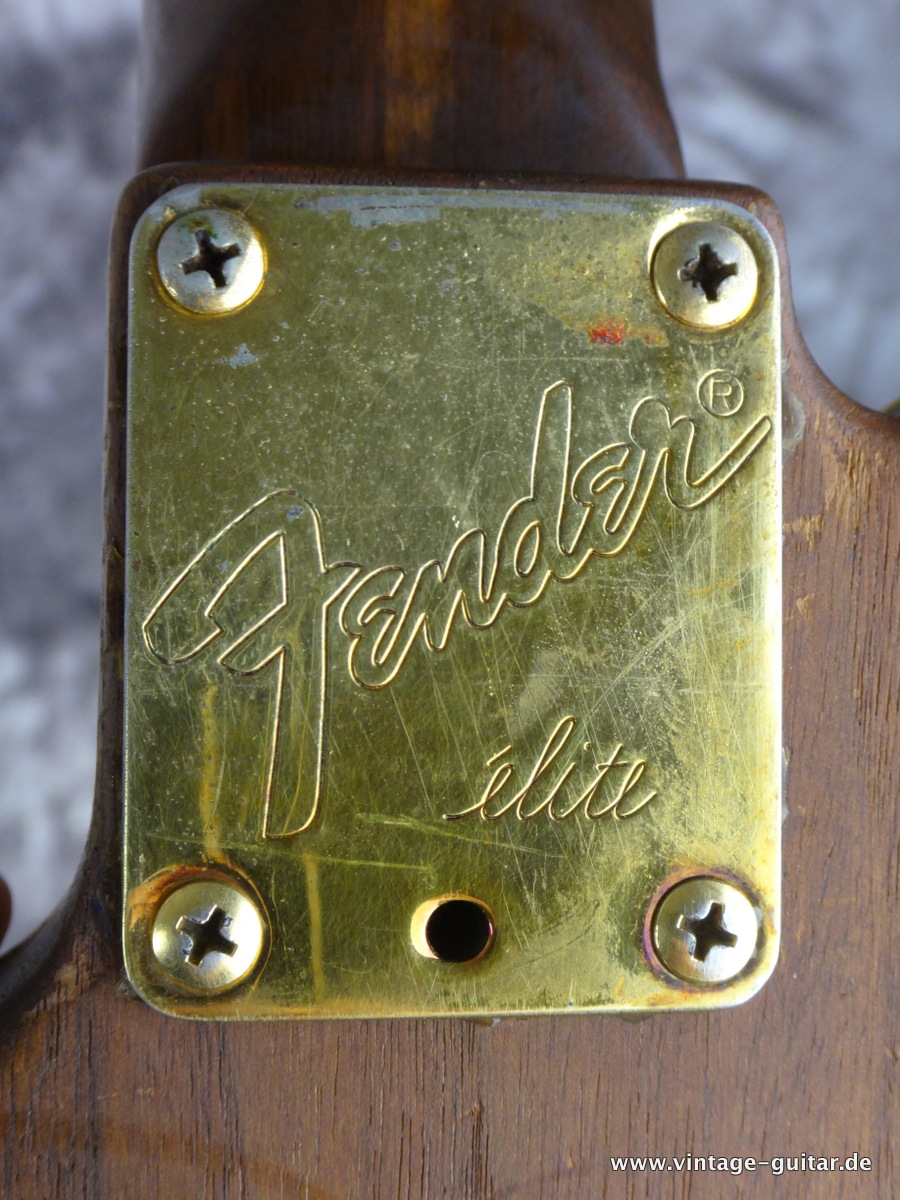 Fender-telecaster-elite-1983-natural-010.JPG