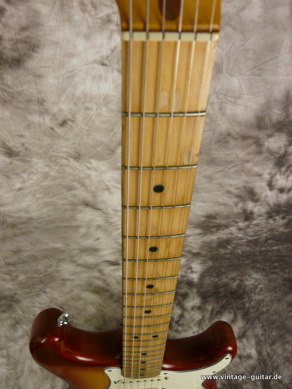 Fender_Stratocaster_1982-Dan-Smith-sienna-burst-007.JPG