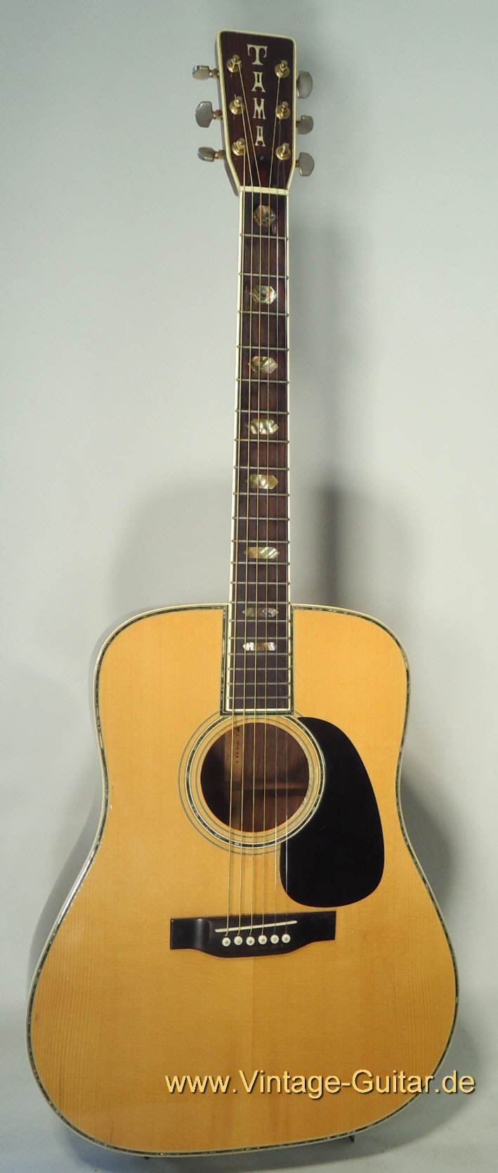 Tama-Copy-of-Martin-D-45-a.jpg