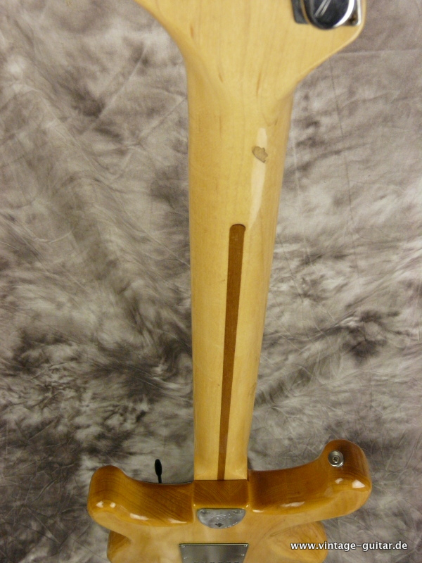 Fender_Stratocaster_1980_Tremolo-natural-009.JPG