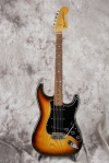 master picture Stratocaster