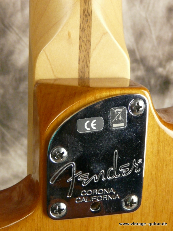 Fender-Stratocaster_Special-2011-natural-007.JPG