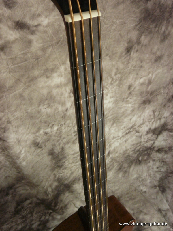 Sigma-Fretless-Acoustic-Bass-011.JPG