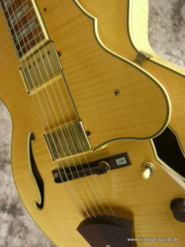 Ibanez-AF-105-NT-12-01-012.JPG