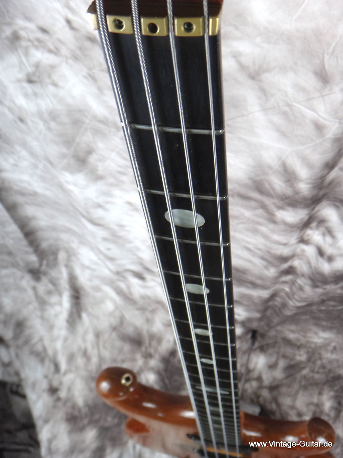 Alembic-Spoiler-Bassguitar-1983-004.JPG