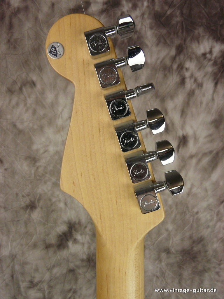 Fender-Stratocaster-Mexico-Standard-2014-006.JPG