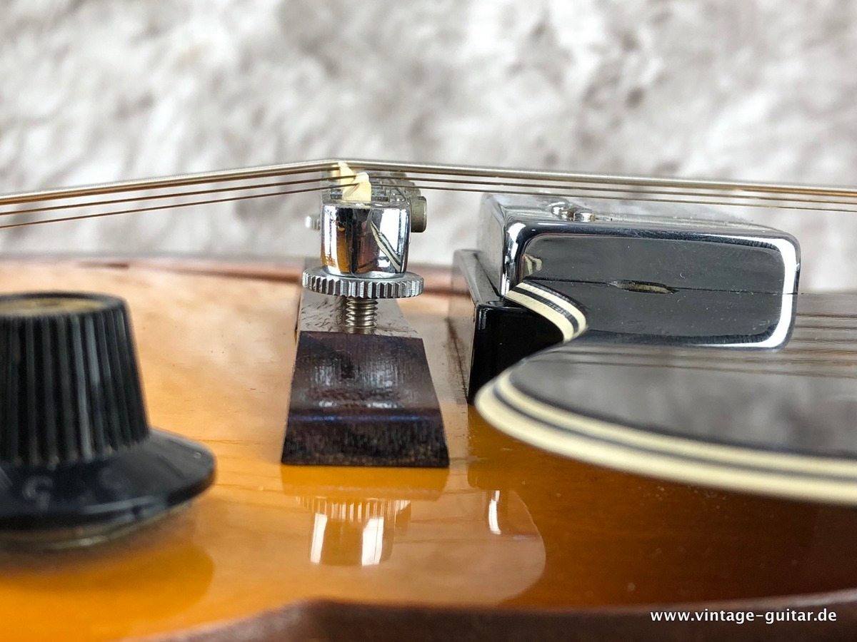 Gibson-ES-175-D-sunburst-1967-021.JPG