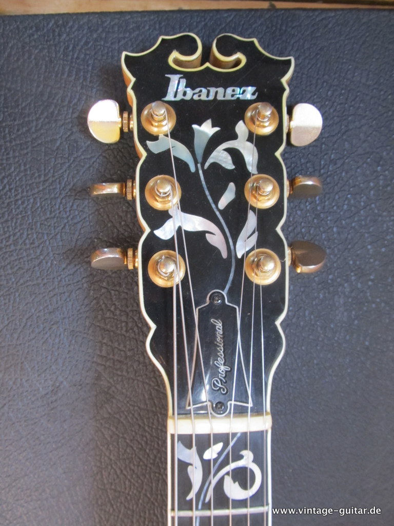 Ibanez-Randy-Scruggs-Model-2671-1976-natural-003.JPG