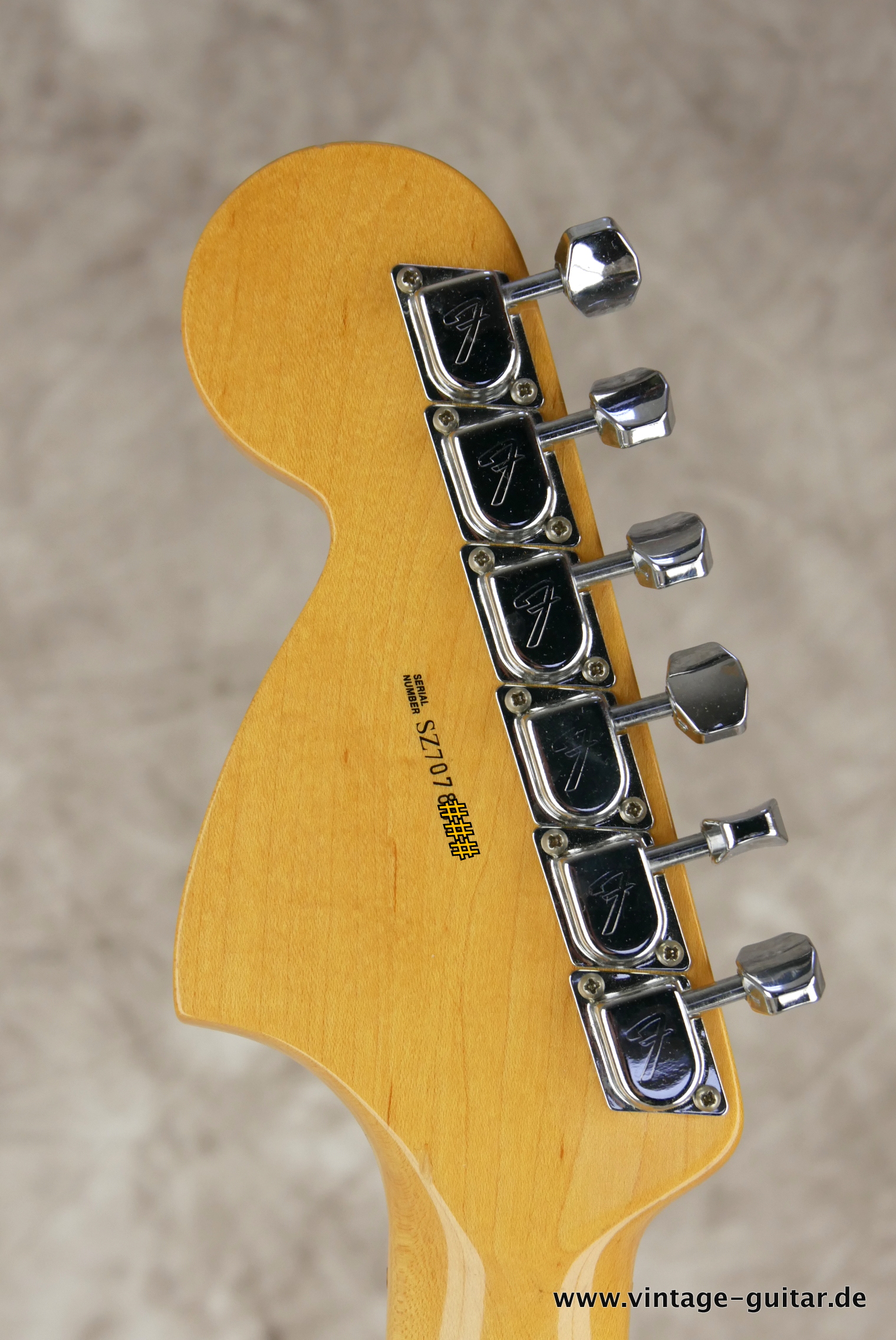 Fender-Stratocaster-Yngwie_malmsteen-2007-scalloped-006.JPG
