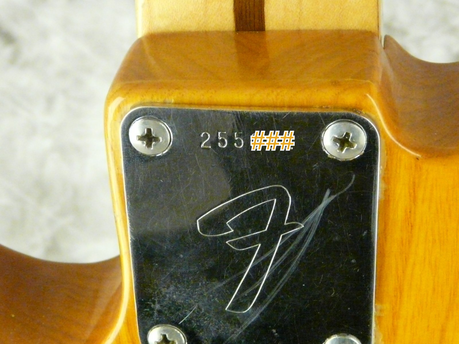 Fender-Telecaster-Thinline-1969-014.JPG