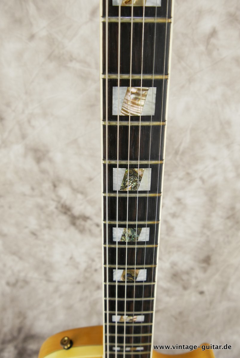 Ibanez-Professional-Randy-Scruggs-1976-010.JPG