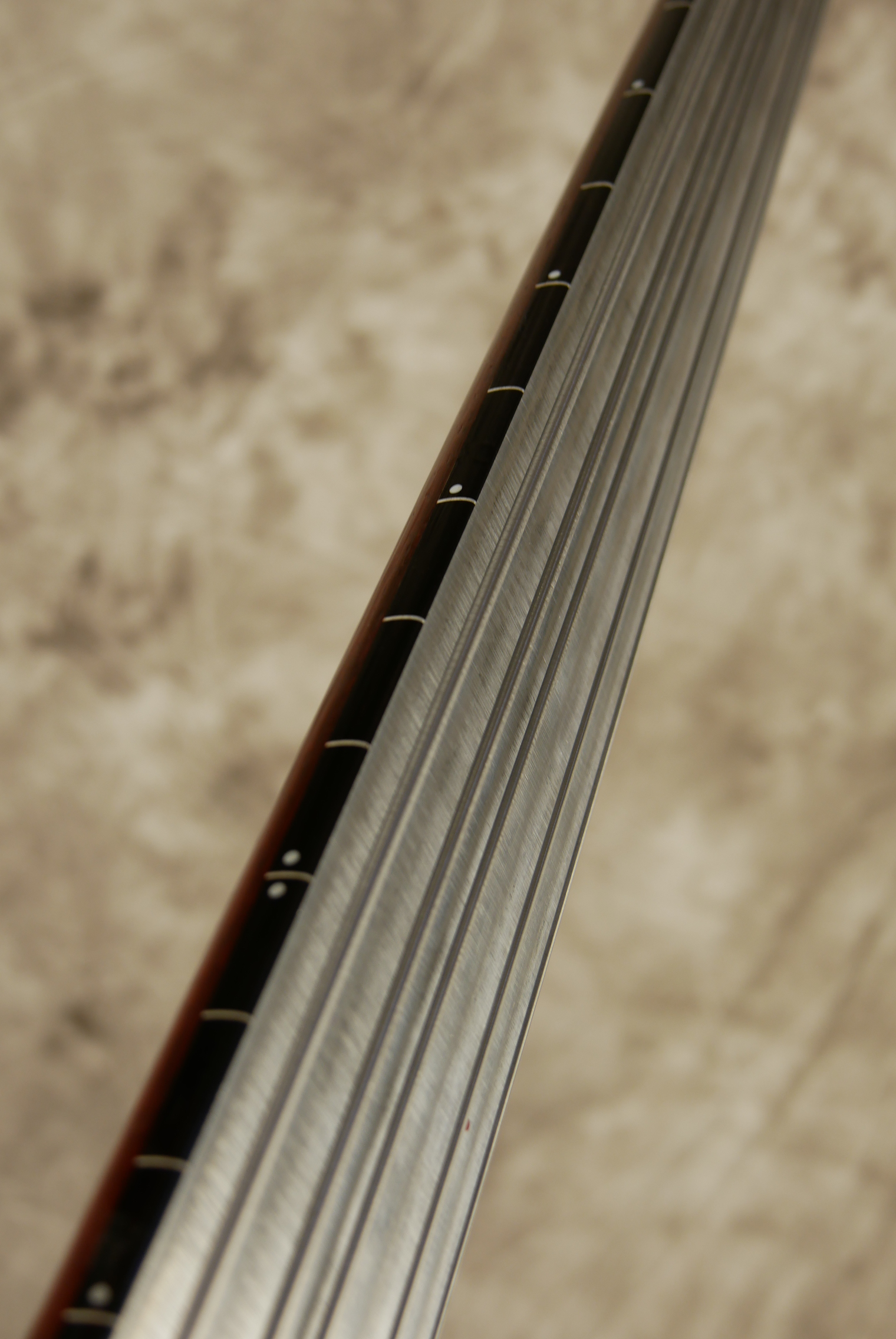 Le-Fay-Karlsson-v-1999-fretless-006.JPG