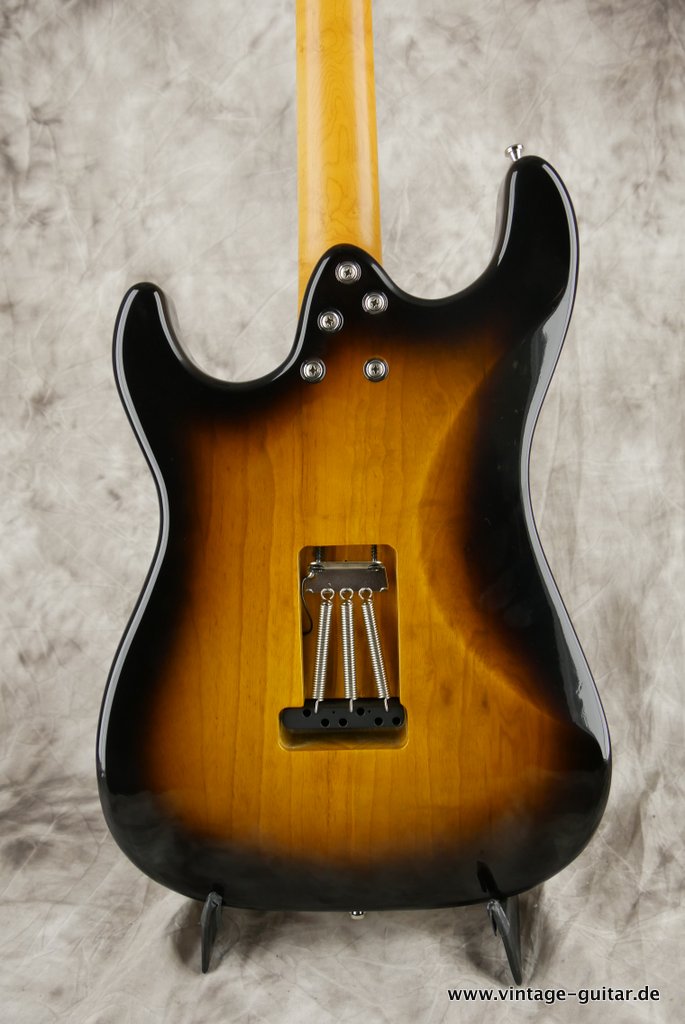 Boerjes-ST-Custom-guitar-004.JPG
