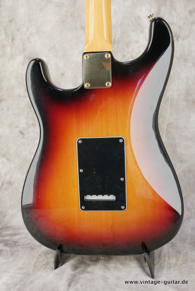 Fender-Stratocaster-Stevie-Ray-Vaughan-004.JPG