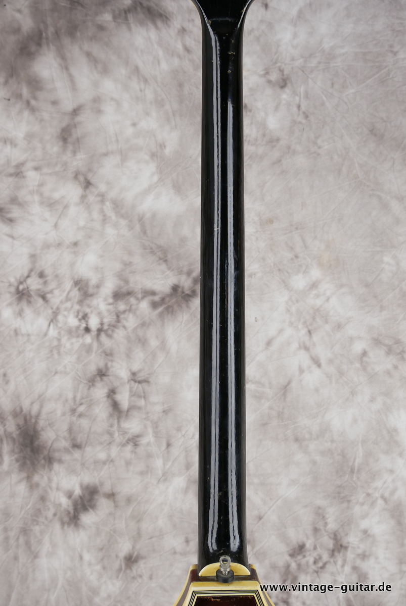 Migma_Teardrop_Bass_Heinz_Seifert_60s-012.JPG