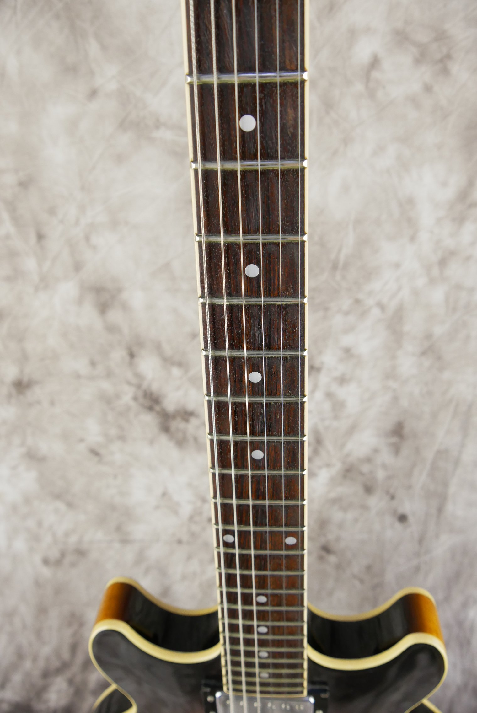 Ibanez-AM-50-1982-011.JPG