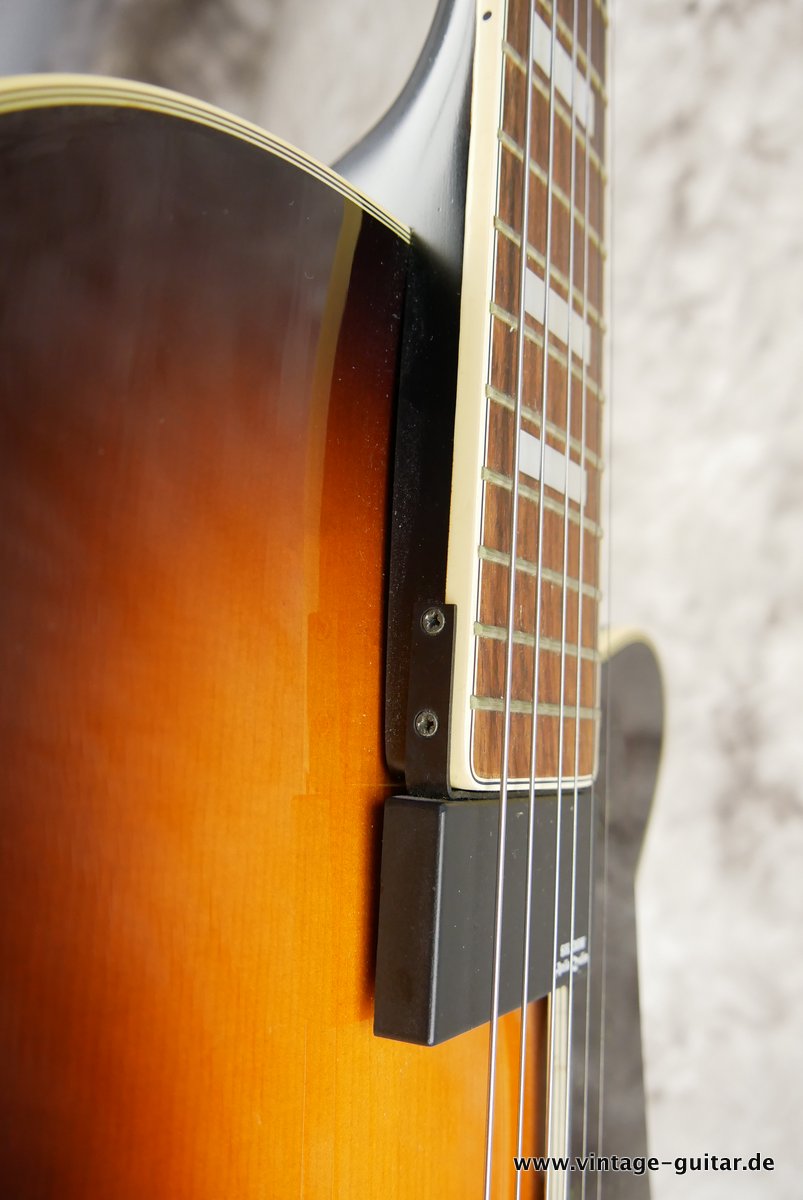 Furch-Stanford-J15F-guitar-2001-014.JPG