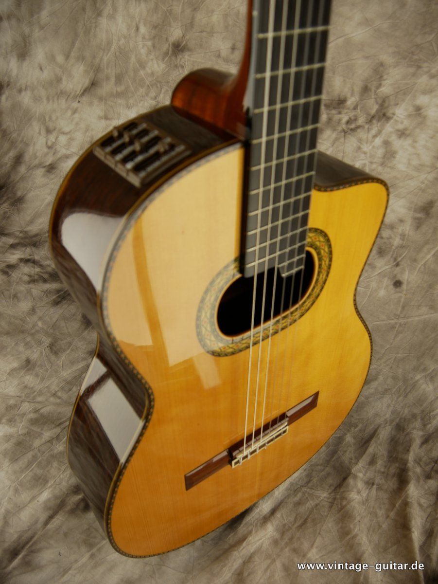 Takamine_Hirade_E90-005.JPG